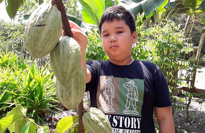Desaru Fruit Farm